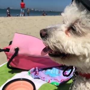 Meet your Posher, Angel